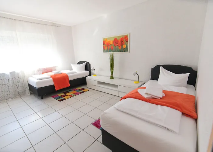 酒店 博林酒店 施韦青根