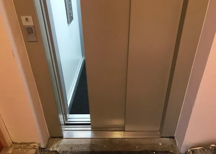 酒店 博林酒店 施韦青根