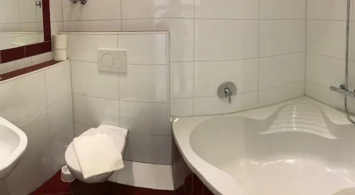 博林酒店 施韦青根